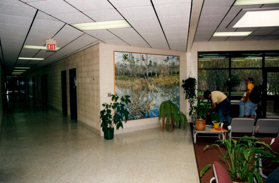 usc4