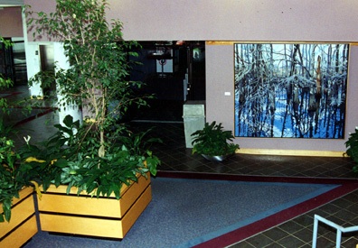 wellnesscenter